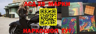 ГАЛЛЮЦИНОГЕННЫЕ ГРИБЫ Кулебаки