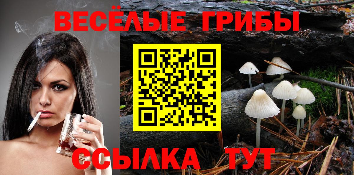 Псилоцибиновые грибы мухоморы Черногорск