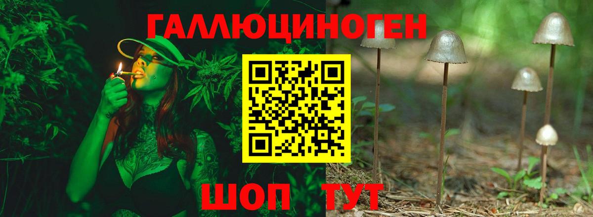 Черногорск  Галлюциногенные грибы ЛСД  Вход с VPN 